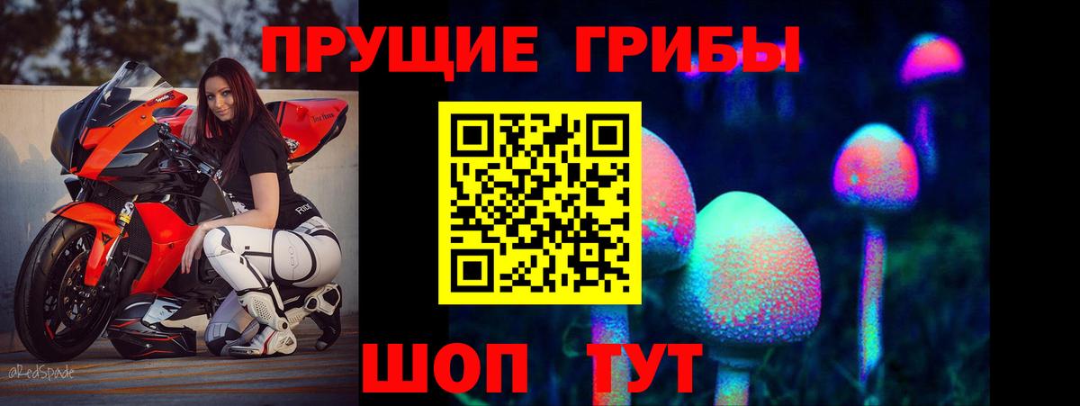 Анжеро-Судженск  Псилоцибиновые грибы GOLDEN TEACHER  Галлюциногенные грибы GOLDEN TEACHER  Вход с VPN 
